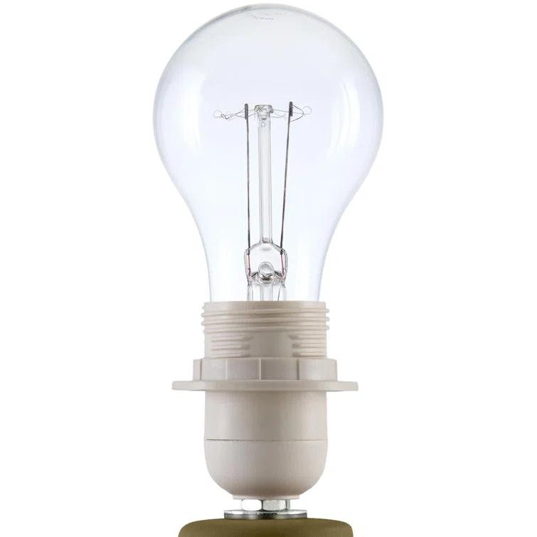 Momsen Scallop Shade Matte Lamp