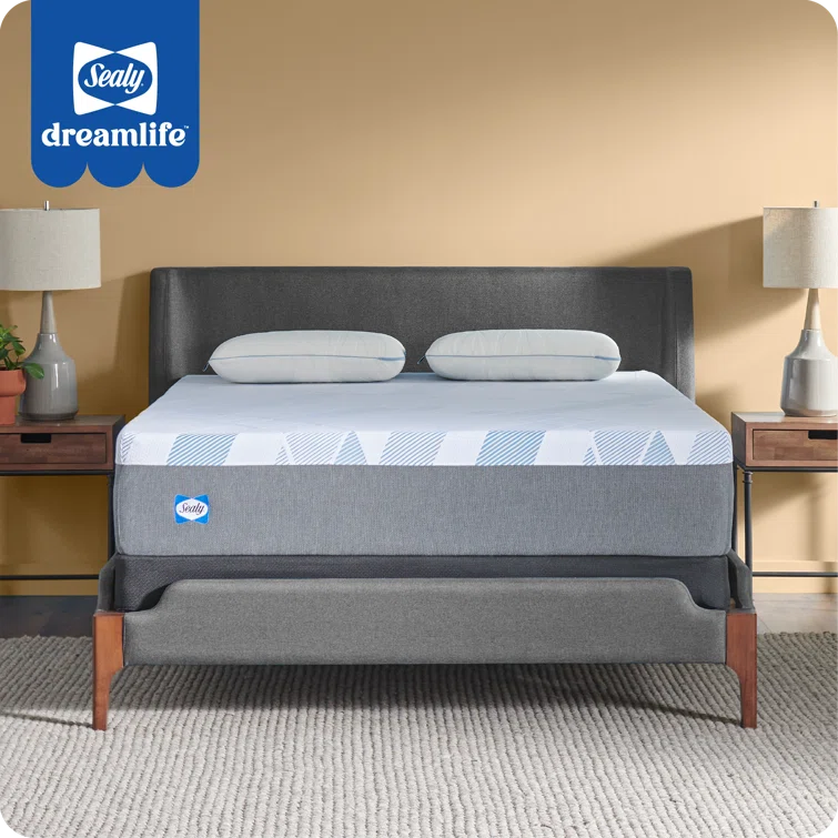 Sealy Sealy Dreamlife 12” Plush Foam Mattress-in-a-Box
