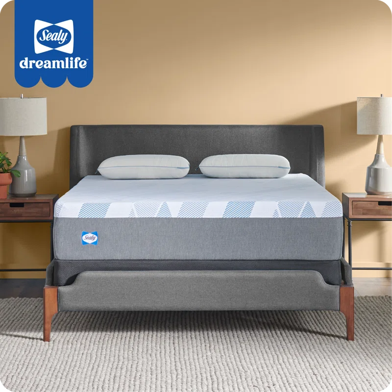 Sealy Sealy Dreamlife 12” Plush Foam Mattress-in-a-Box