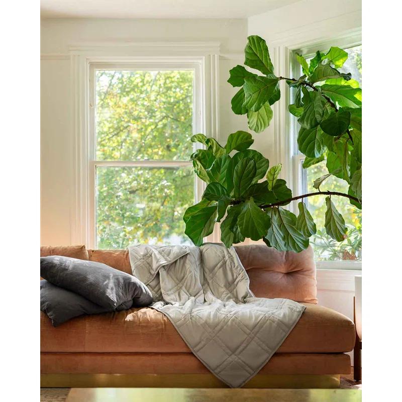 Baloo Living Baloo Living Cool Cotton Weighted Blanket