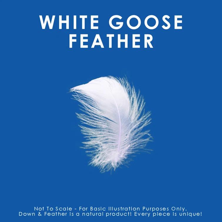 Canadian Down & Feather Company Quilted White Goose Feather Pillow