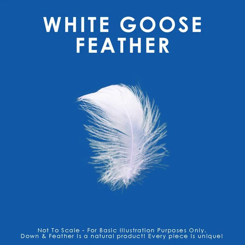 Canadian Down & Feather Company Quilted White Goose Feather Pillow - 2 Pack (Set of 2)