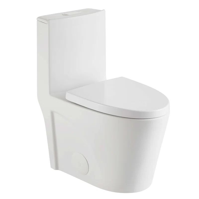 Dual-Flush Elongated One-Piece Toilet with High Efficiency Flush