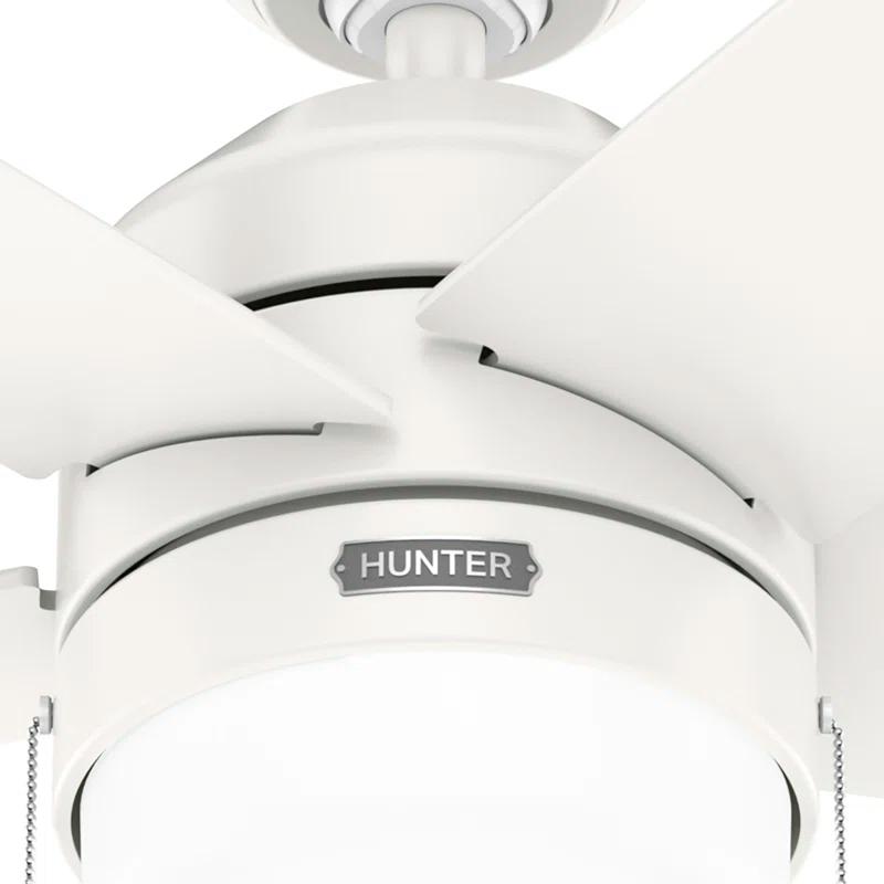 Hunter Fan Bardot 52" 5 - Blade Ceiling Fan With Lights and Pull Chains