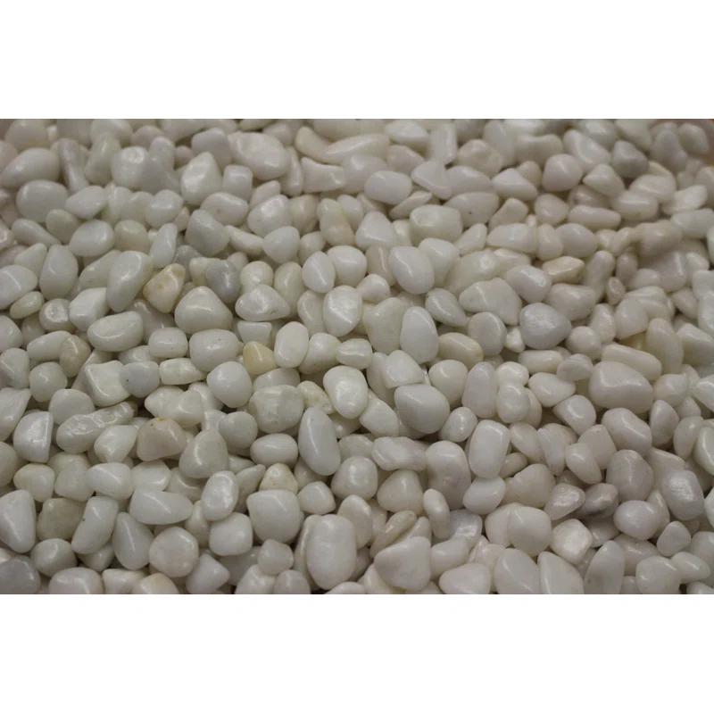 Exotic Pebbles & Glass Landscape & Nature Vase Filler