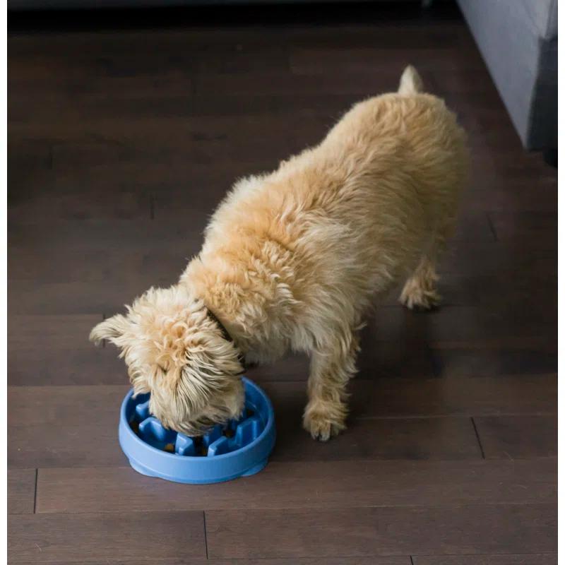 Outward Hound Outward Hound Fun Feeder Slow Bowl, Slow Feeder Dog Bowl, Blue