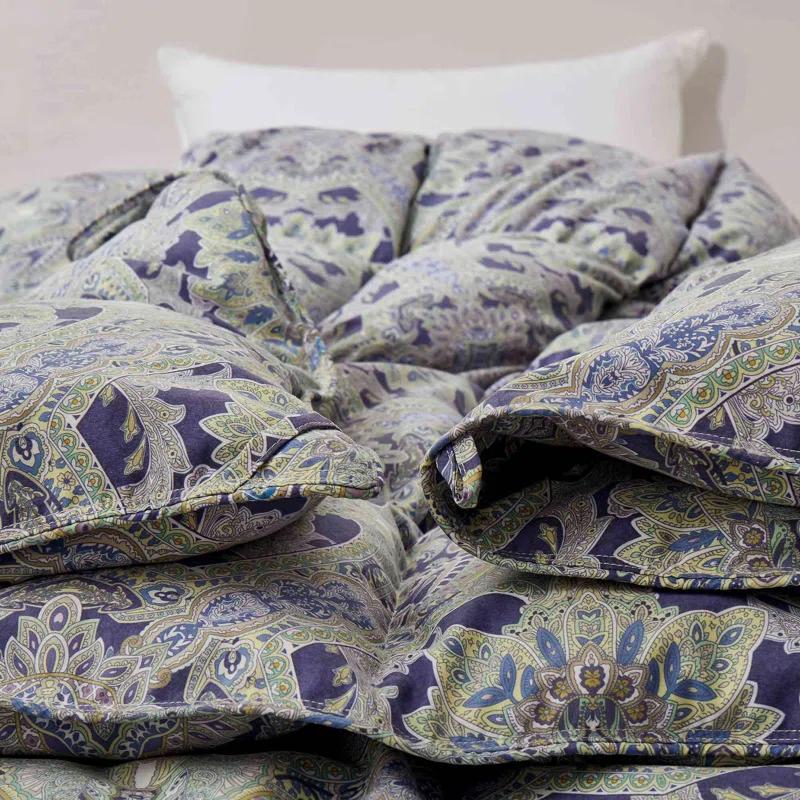 Lark Manor™ All Season Paisley Floral Printed Vintage Goose Feather Down Comforter
