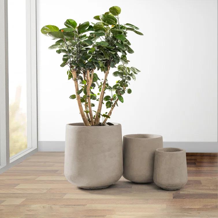 Kante Kante Round Concrete Planters, Outdoor Indoor Pots Containers with Drainage Holes Set