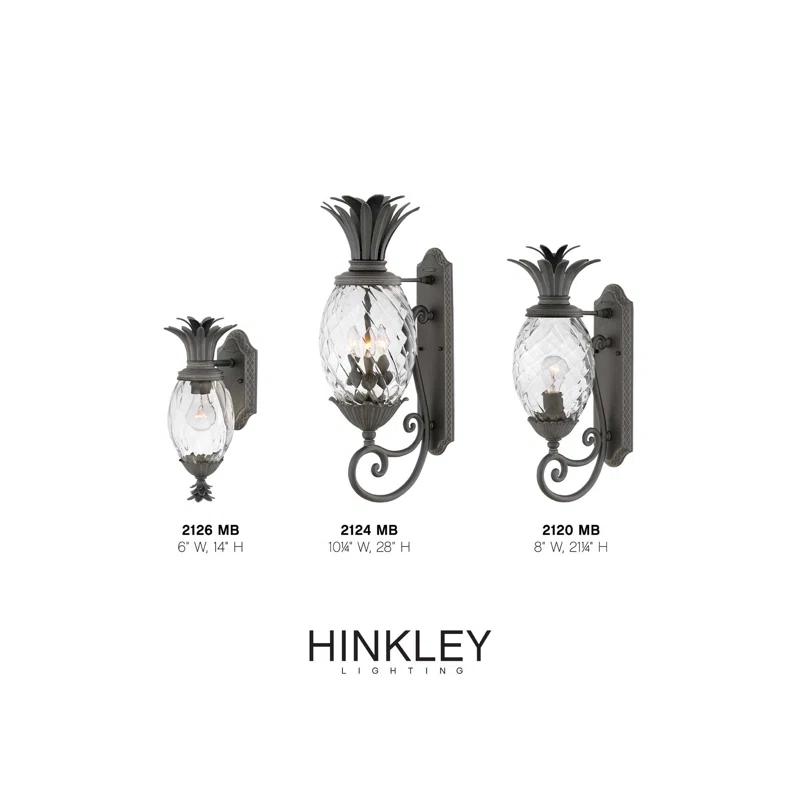 Hinkley Plantation Outdoor Wall Lantern