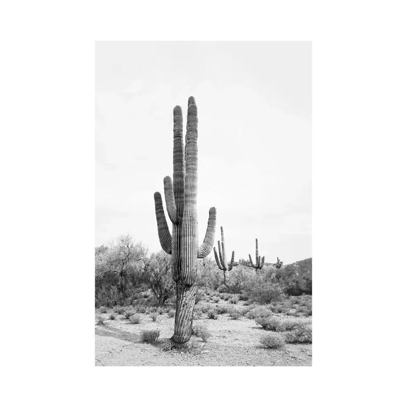 iCanvas Desert Cactus Blush by Sisi and Seb - Graphic Art Print