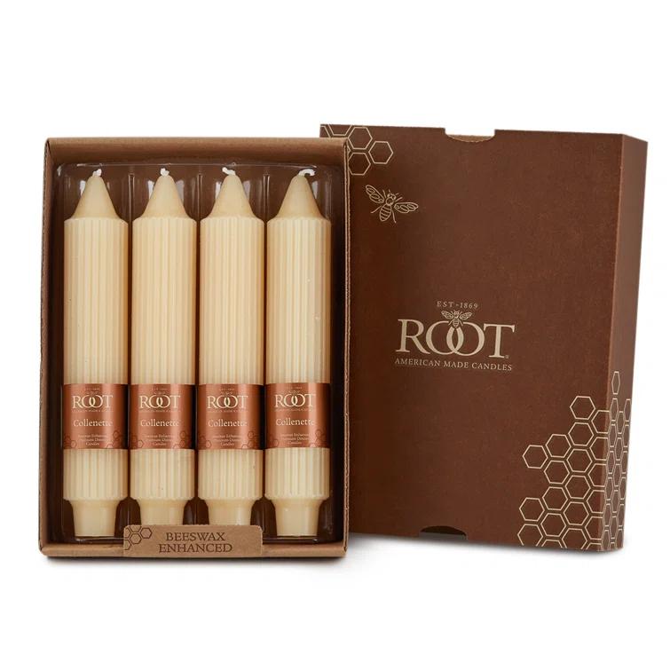 Root Candles Grecian Collenette Unscented Taper Candle & Reviews | AllModern