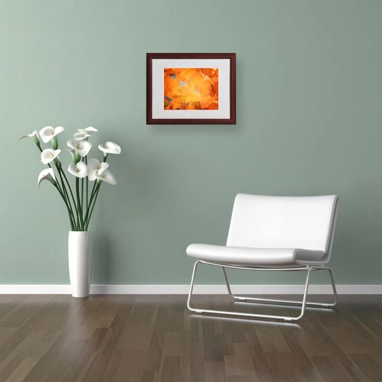 Trademark Fine Art " Seasonal Leaves " by Philippe Sainte-Laudy