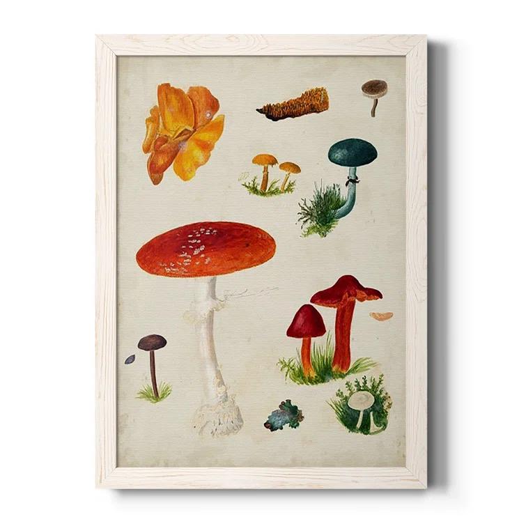 Wexford Home Mushroom Species VIII " Mushroom Species VIII " Painting Print