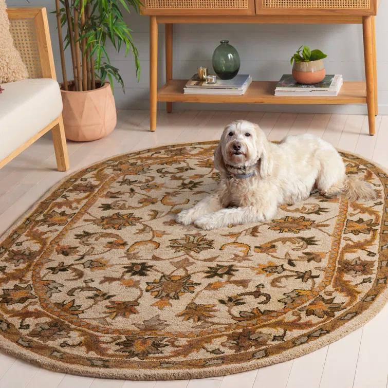Safavieh Oval 4'6" x 6'6"