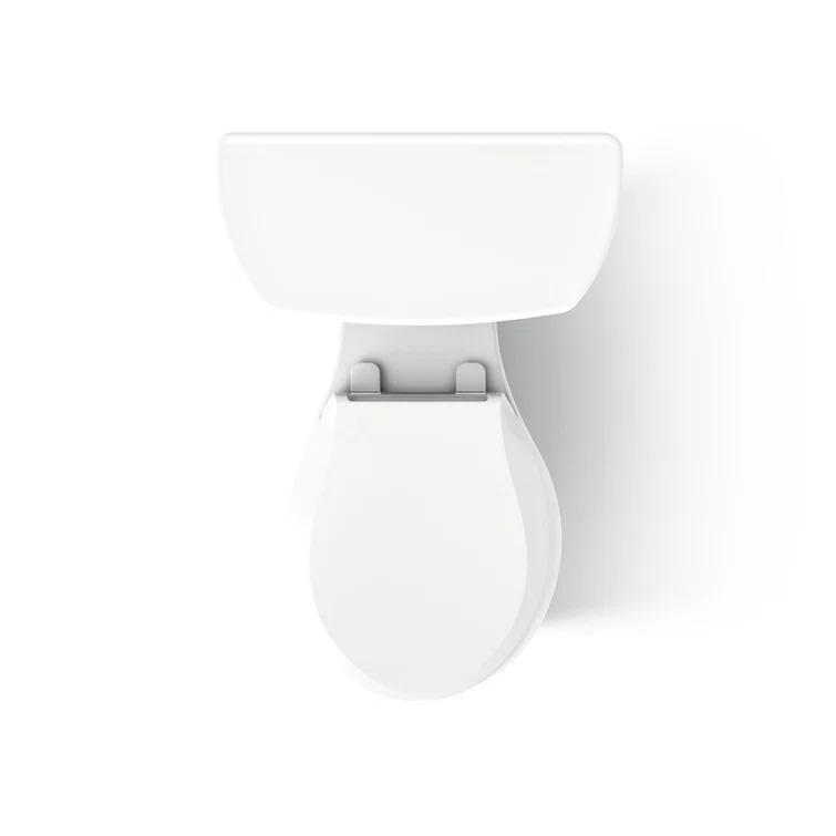 Wellworth® 1.28 GPF Water Efficient Round Two-Piece Toilet (Seat Not Included)