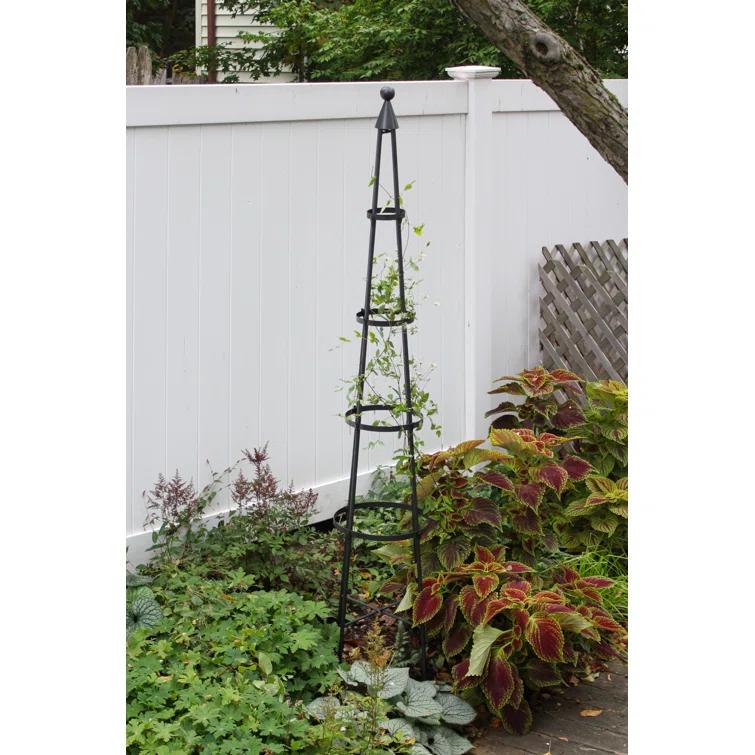 Latitude Run® Alarcon-Chacon 84'' H x 13'' W Iron Obelisk Trellis