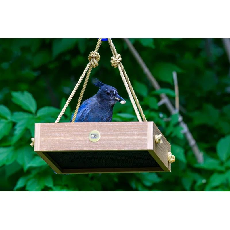 Birds Choice Birds Choice Modern Farmhouse Small Hanging Platform Bird Feeder