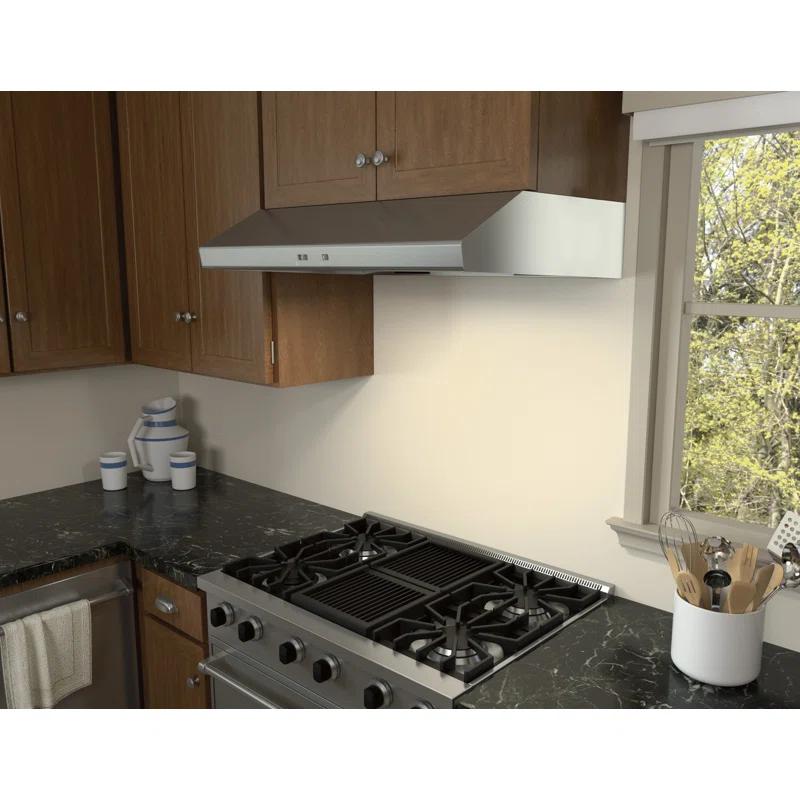 Zephyr Zephyr Cyclone 42" 600 CFM Under Cabinet Range Hood in Stainless Steel