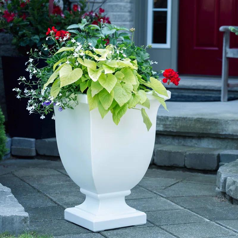 Red Barrel Studio® Arvia Self Water Resin Urn Planter