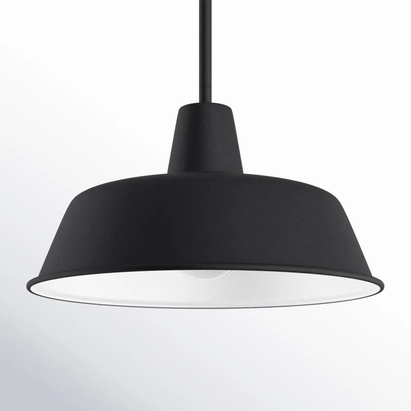 Fisher Outdoor Pendant Light - Black / 14" Dia