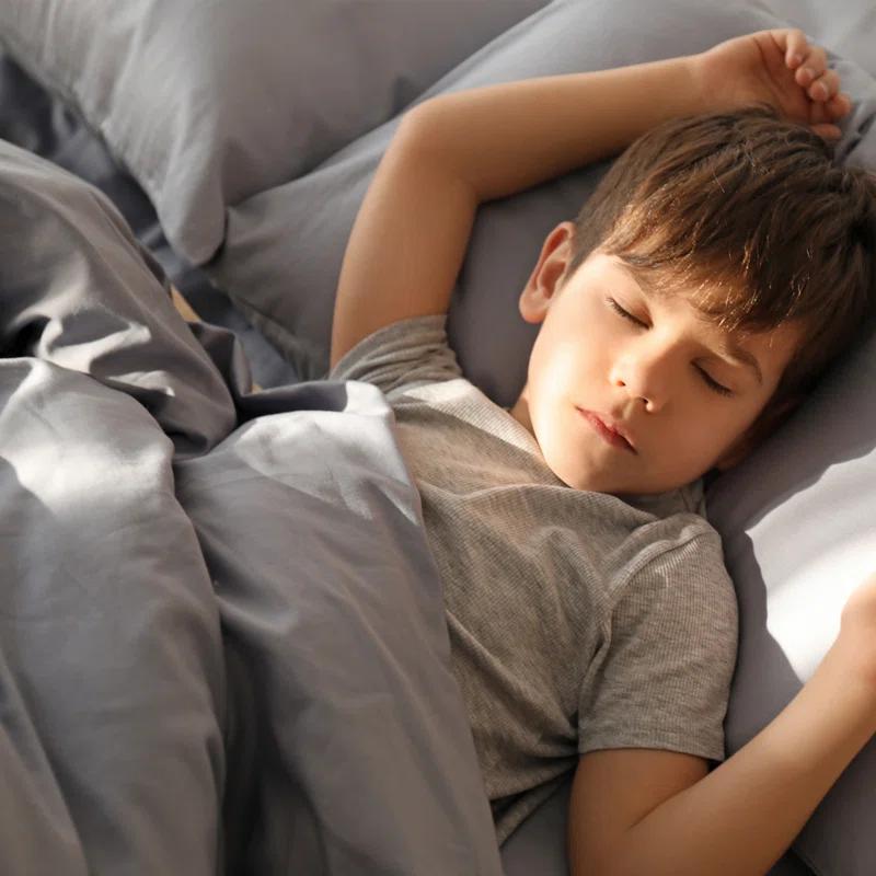 Lavish Home Grey Weighted Blanket 15lbs & Reviews | Wayfair