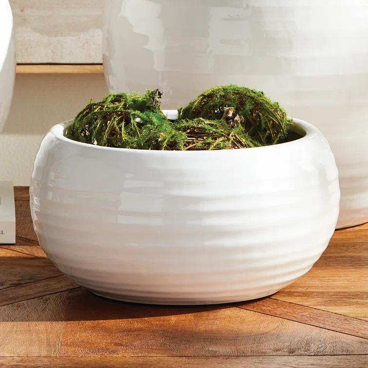 Napa Home and Garden ANDERSON DECORATIVE BOWL | Perigold