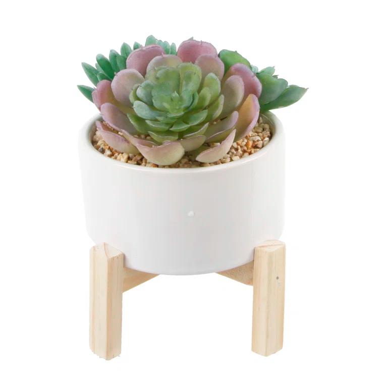 Primrue 5.5'' Faux Succulent Plant in Ceramic Pot