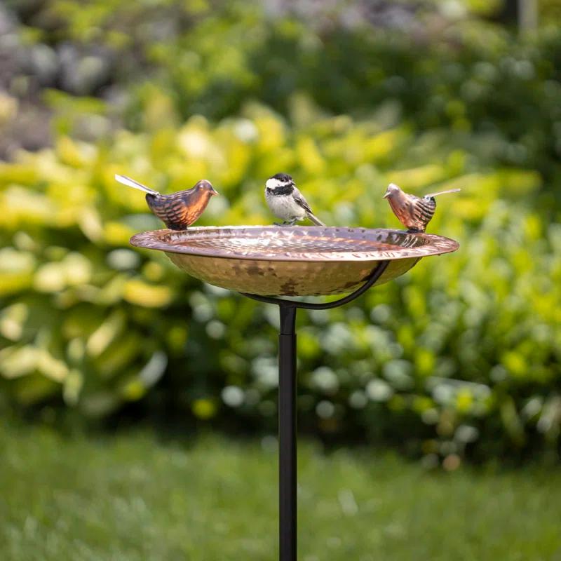 House of Hampton® Dowski Copper Single Tier Birdbath