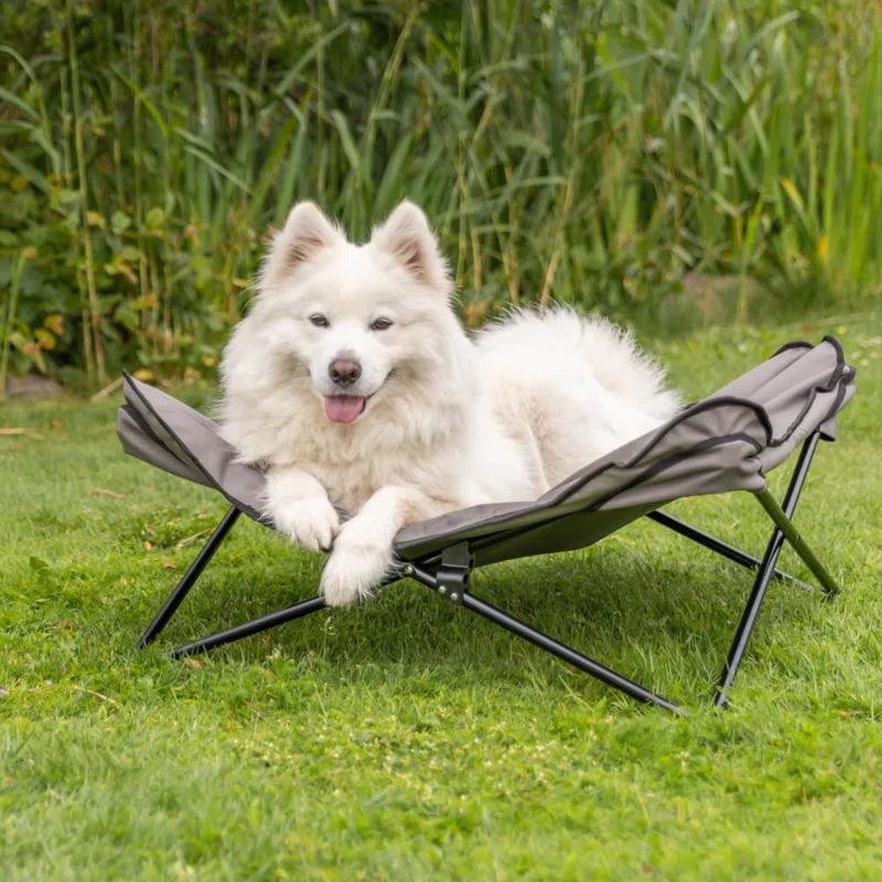 TRIXIE Camping Cot for Dogs, Elevated Dog Bed, Folding Padded Pet Bed, Raised Travel Lounger for Dogs
