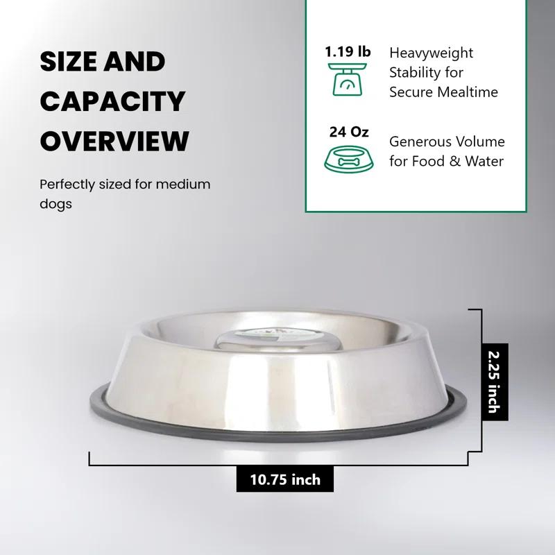 Anti-Skid Slow Feeder (Set of 2)