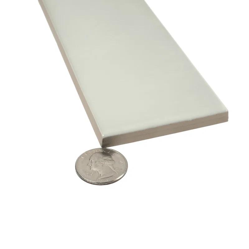 Apollo Tile 2.56'' W x 15.75'' L Ceramic Subway Singular Tile