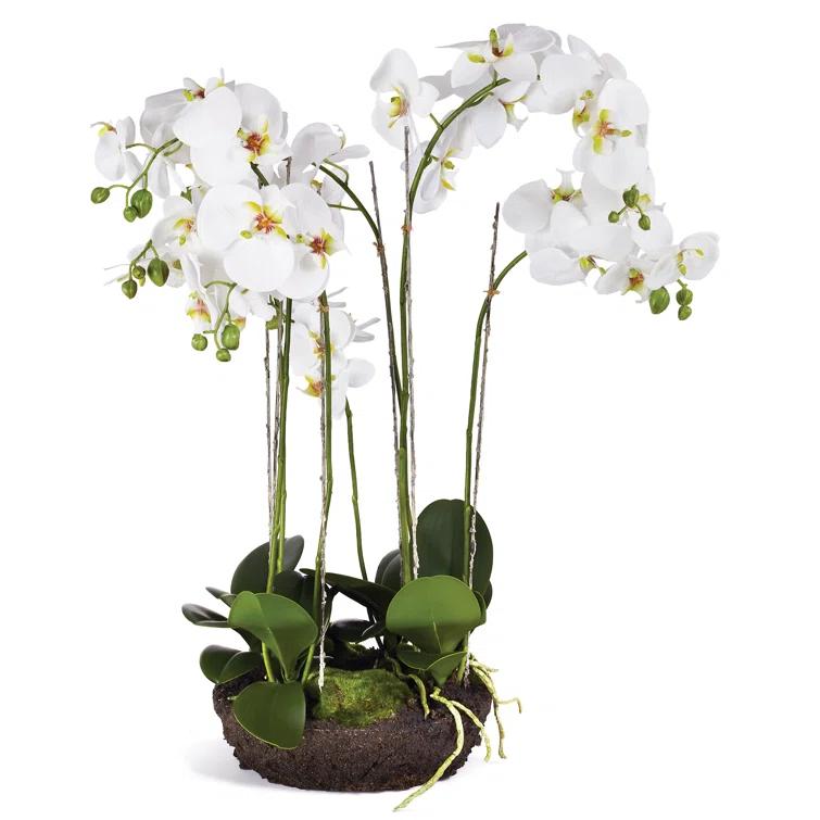 Elegant White Faux Orchid in Root Ball, 31"