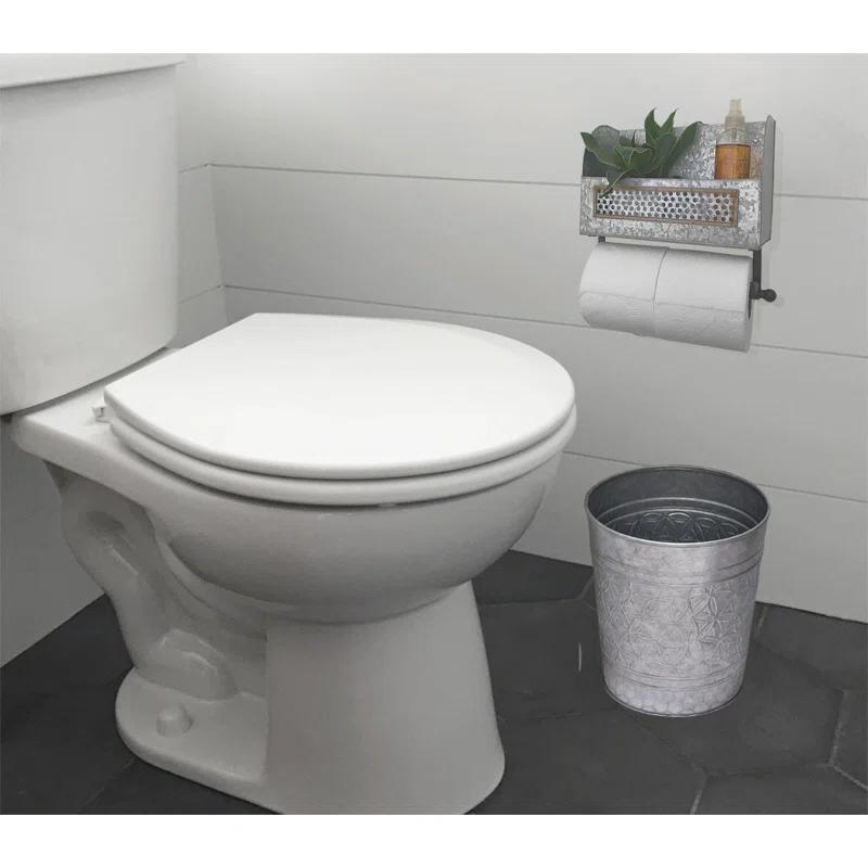 Galvanized Double Wall Mount Rustic Toilet Paper Holder with Magazine Rack