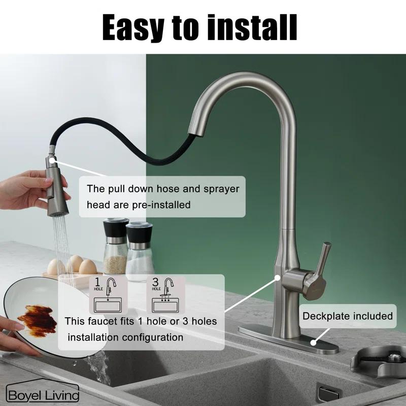 Boyel Living Pull Down Kitchen Faucet