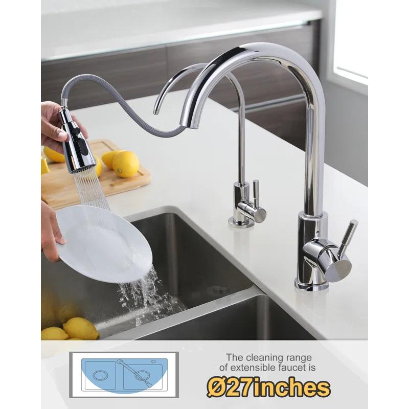 ARCORA ARCORA Stainless Steel Pull-Down Kitchen Faucet and Water Filter Faucet Combo AR7100301C-L