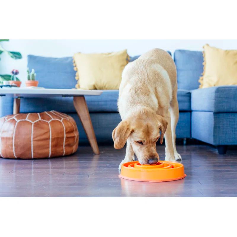 Outward Hound Outward Hound Fun Feeder Bowl, Slow Feeder Dog Bowl, Large, Orange