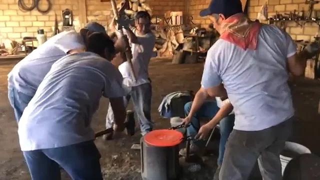 Premier Copper Products 33'' L Kitchen Sink KASB33229