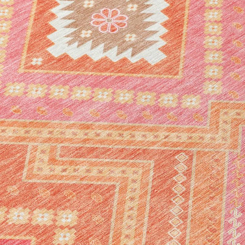 Machine Washable Indoor/Outdoor Chayden ACN1010 Coral Rug