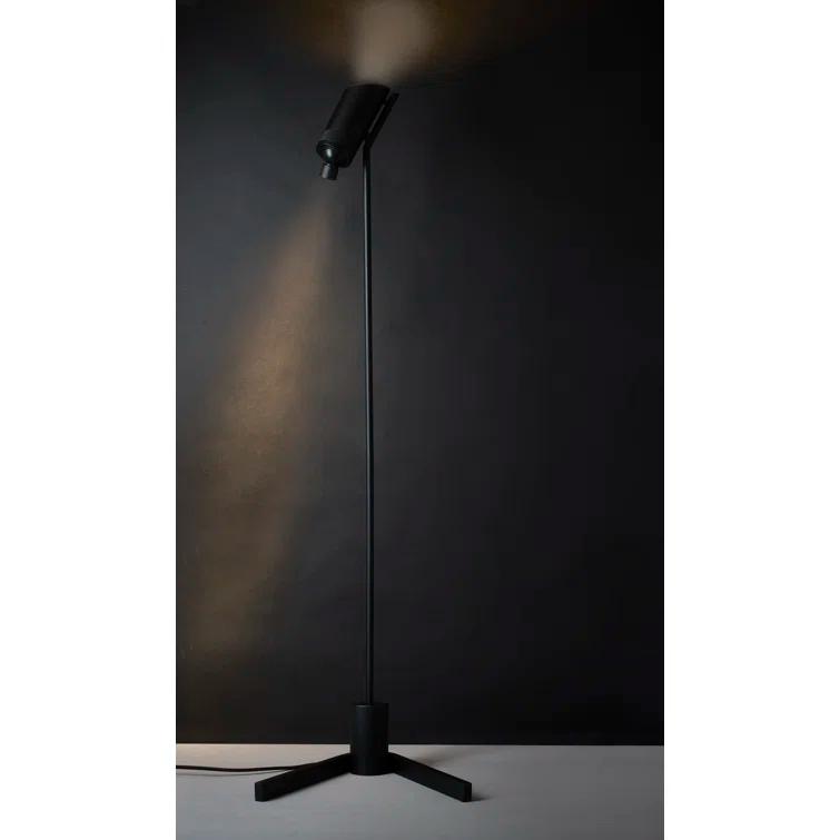 DCW Editions Vision 53.94'' Black LED Task Floor Lamp