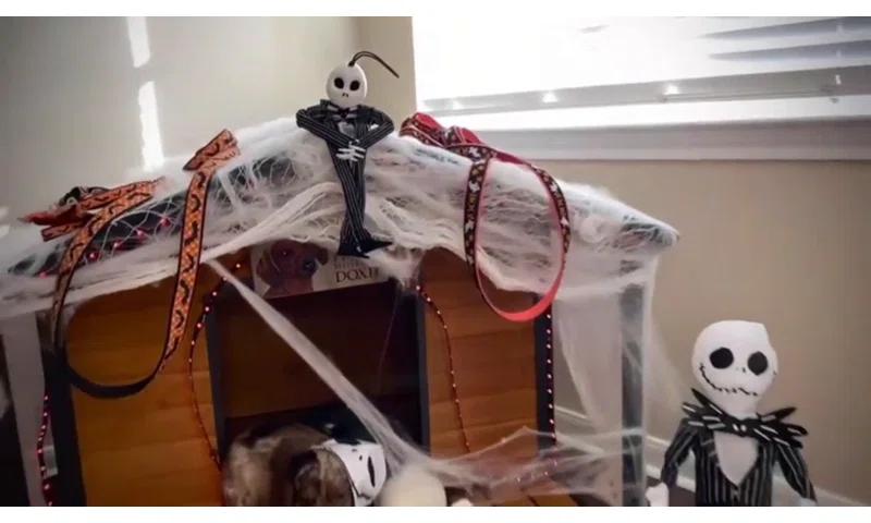 Tucker Murphy Pet™ Schoharie Igloo Style Dog House