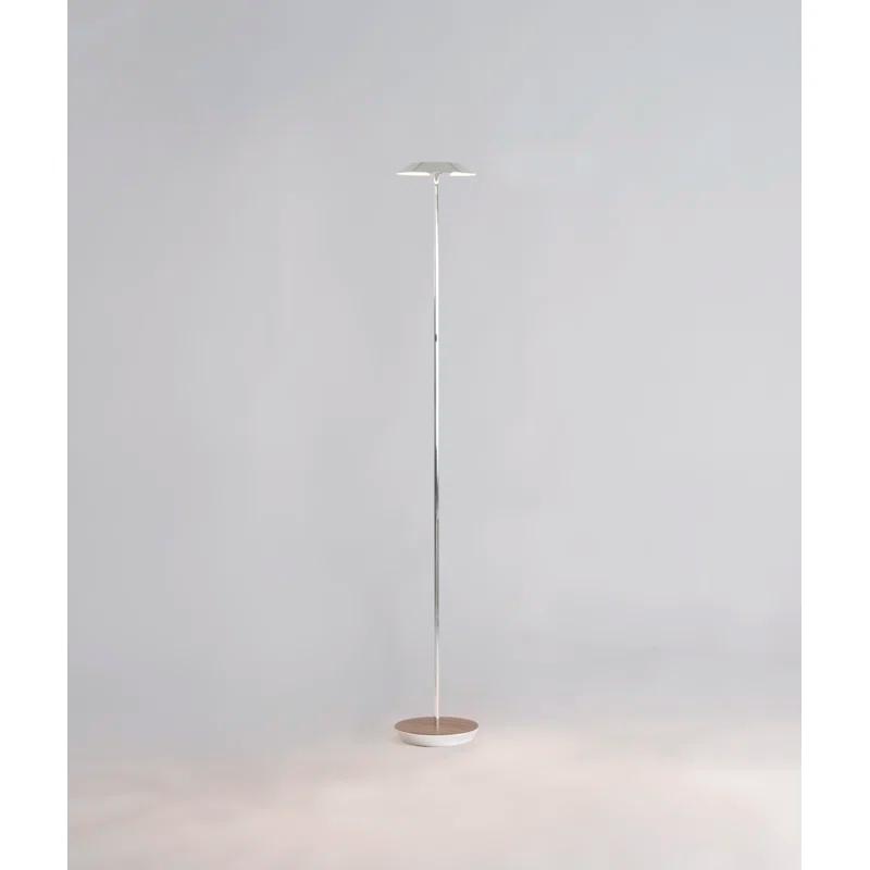 Royyo 45.5'' LED Floor Lamp