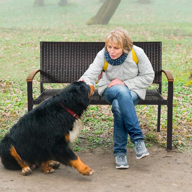 Red Barrel Studio® Alisanne Steel Outdoor Bench
