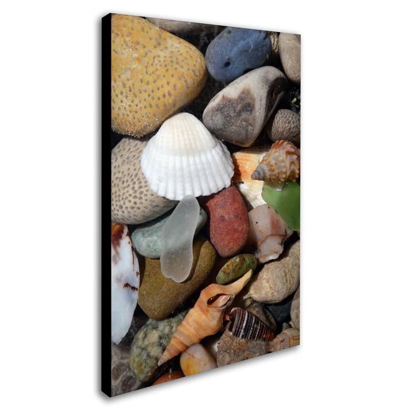 Trademark Fine Art "PetoskeyStones lV" by Michelle Calkins Photographic Print on Wrapped Canvas