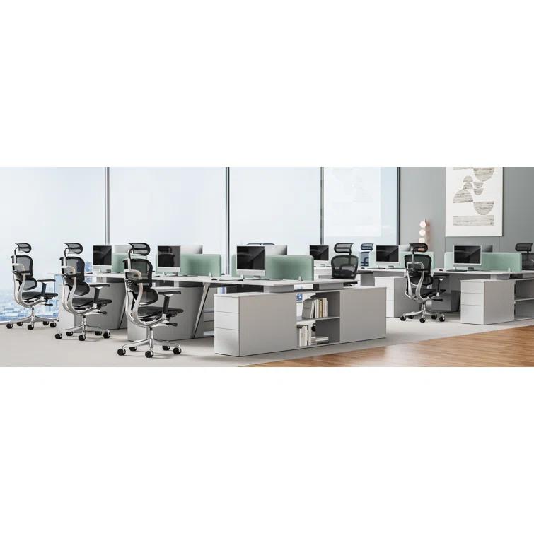 Eurotech Seating Ergohuman Executive Chair with Headrest