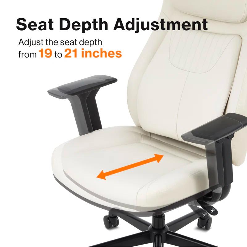 Wellnewlife Wellnew Posturelift Ergonomic Office Chair