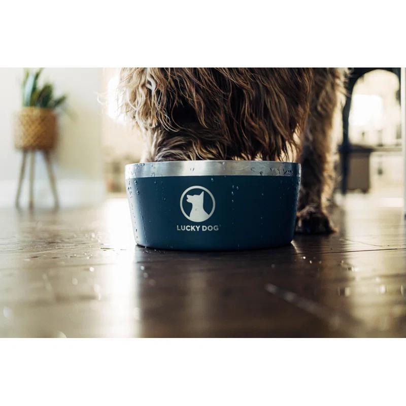 Lucky Dog INDULGE 8 Double Wall Stainless Steel Dog Bowl & Reviews | Wayfair