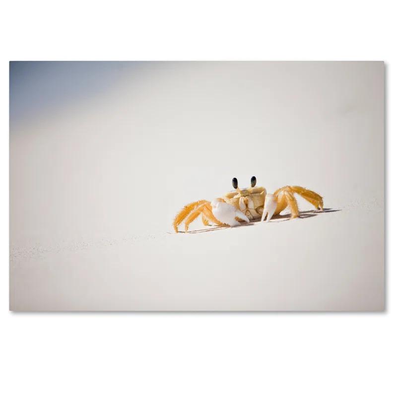 Trademark Fine Art Jason Shaffer " Ghost Crab 7 " by Yale Gurney