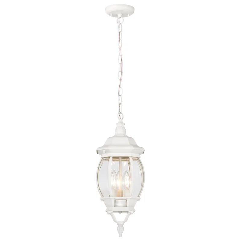 Sol 72 Outdoor™ 3 - Light Outdoor Hanging Lantern