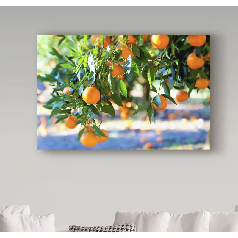 Trademark Fine Art Incredi " Citrus Oranges " by Incredi