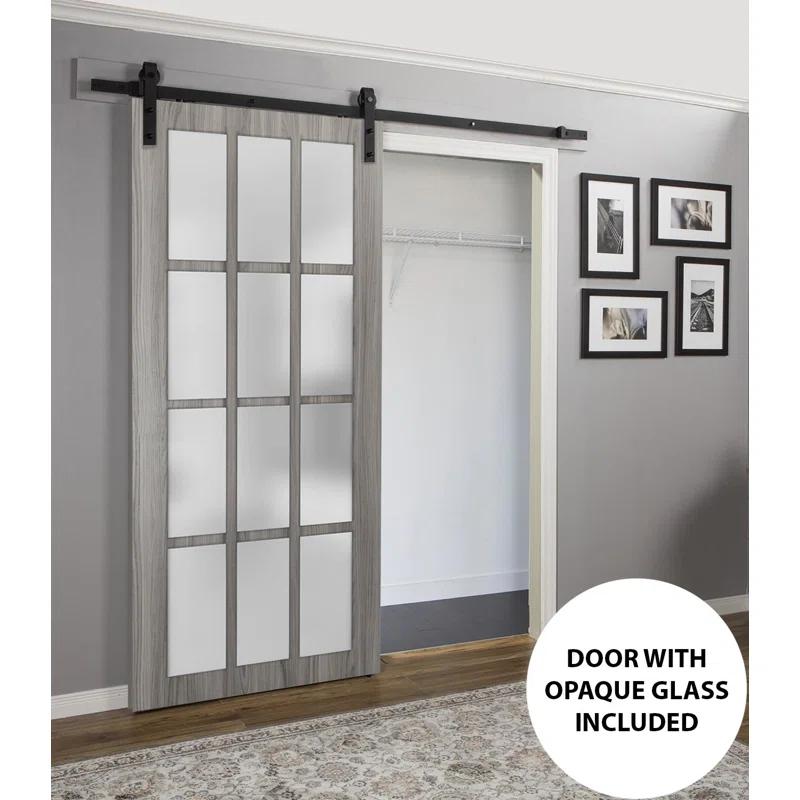 SARTODOORS Felicia Frosted Glass Barn Door with Installation Hardware Kit